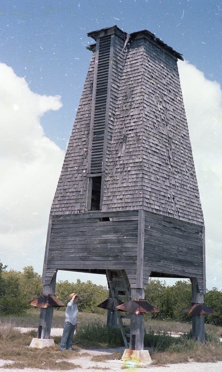 The Perky Bat Tower