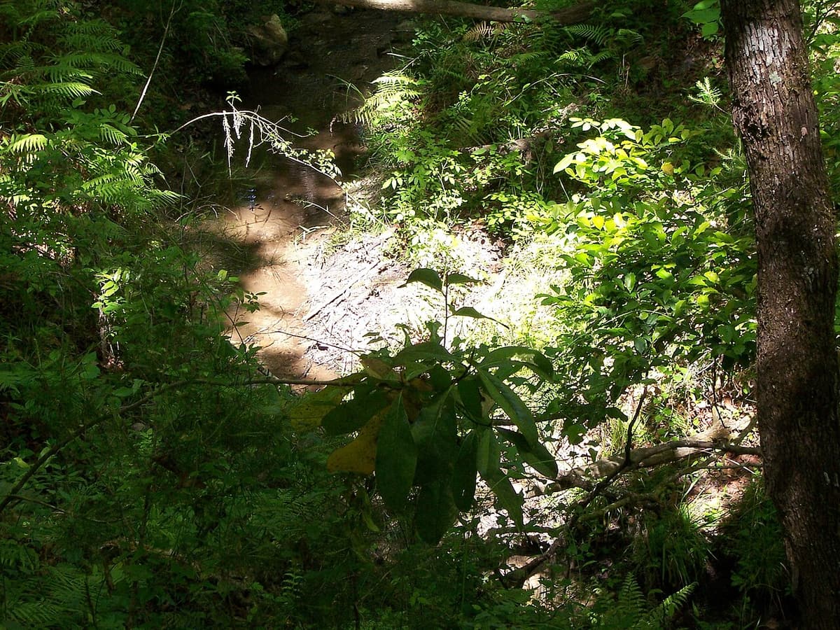 The Devil's Millhopper