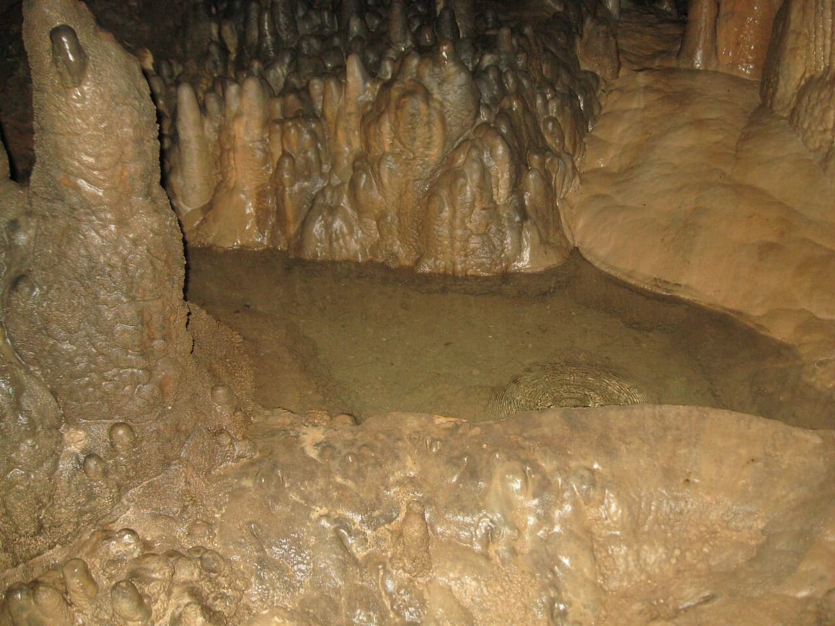 Florida Caverns