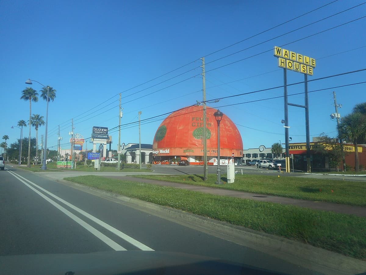 Orange World