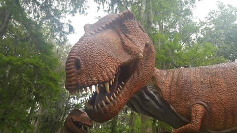 Dinosaur World
