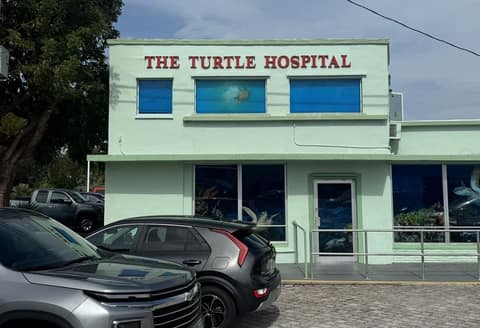 The Turtle Hospital